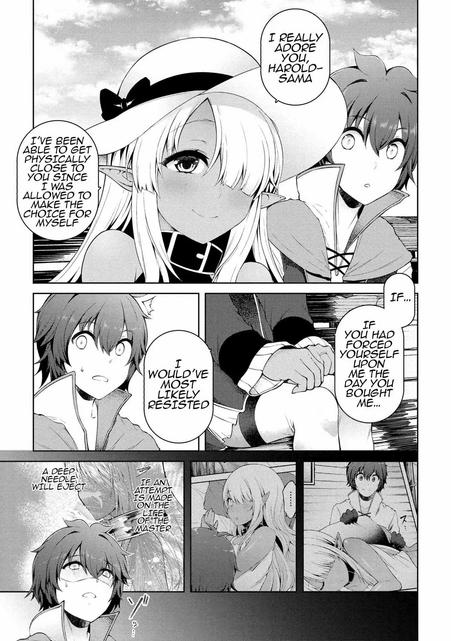 Ie ga Moete Jinsei Dou Demo Yoku Natta kara, Nokotta Nakenashi no Kin de Dark Elf no Dorei o Katta Chapter 11.6 17